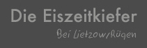 eiszeitkiefer