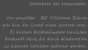 Seegrund